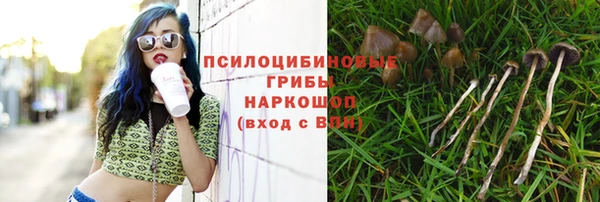 марки lsd Аркадак
