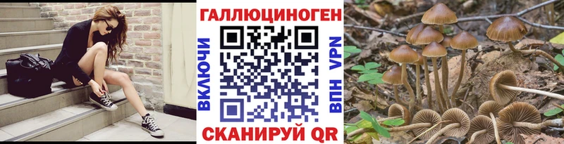 Псилоцибиновые грибы MAGIC MUSHROOMS Пересвет