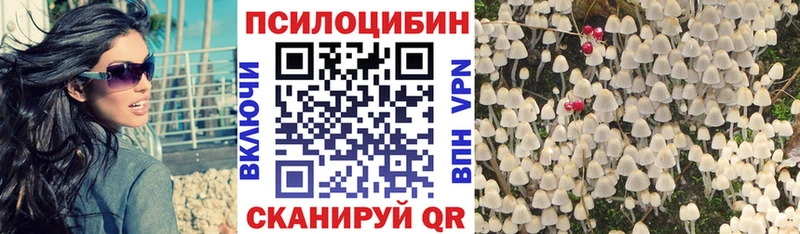 где купить наркоту  Пересвет  Галлюциногенные грибы Psilocybine cubensis 