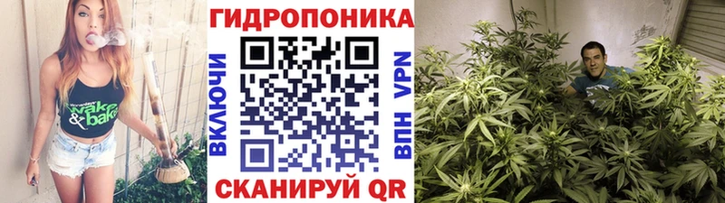 Канабис THC 21%  Пересвет 